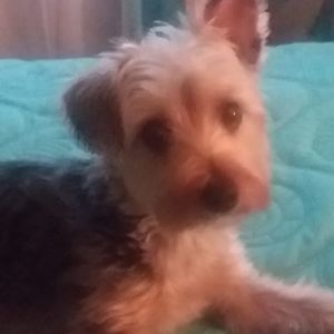 Meet your Posher, Katherine